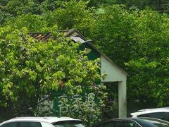 -满記土窑烧鷄波浪山莊