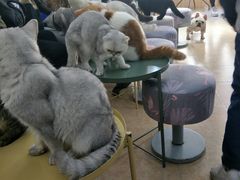 -牧歌KTV(广济南路店)