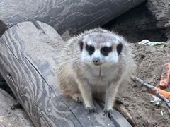 -北京野生动物园