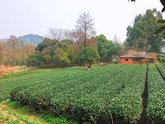 -自在弥林花园餐厅(云栖店)