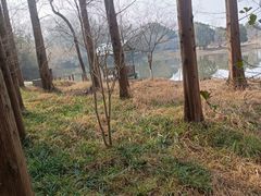 -东平国家森林公园
