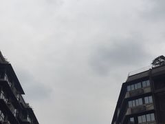-泡桐树街