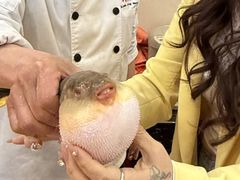 -长顺河豚馆(江洲东路)