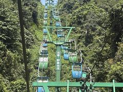 -野象谷景区