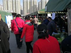 -何庄子阿米玛玛农产品批发市场