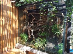 -厚山庭院重庆老火锅