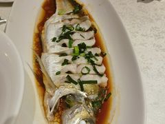 -金美华轩(东方路齐鲁店)