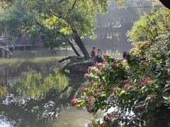 -惠山古镇·寄畅园