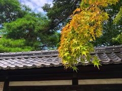 -京都御所