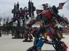 -上海长兴岛郊野公园