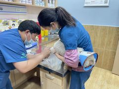 -瑞派名望24h动物医院异宠专科·猫专科·骨科·重症监护分院