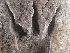 -湖南省地质博物馆