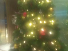 -上海虹梅嘉廷酒店