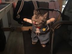 -伟伟宠物医院·CT影像中心·瑞派犬猫综合性门诊(汉口总院)