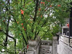 -阳明祠