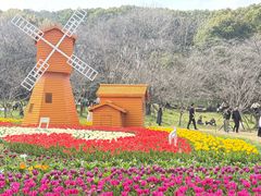 -苏州上方山国家森林公园