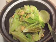 啫啫生菜煲-陶陶居·雅园(凯华国际店)