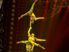 -珠海横琴长隆《卡卡虎奇遇记》