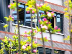 -金陵中学(河西分校)