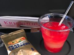 -新加坡航空公司(ION)
