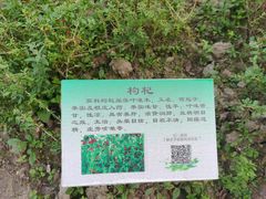 -昆山城市生态森林公园