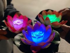 -印象普陀