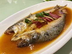 -骏莱海鲜鱼港(五角场店)