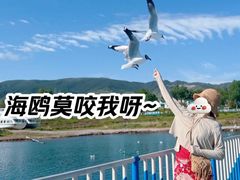 -青海湖国家重点风景名胜区