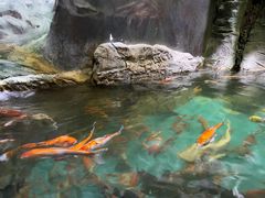 -多彩贵州城极地海洋世界