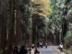 -山王坪喀斯特国家生态公园