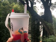 -茶颜悦色(岳麓山顶店)