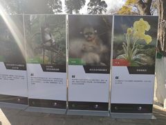 -昆明动物园