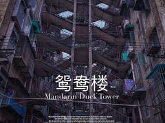 -老表记广西宵夜螺蛳鸭脚煲(西大店)