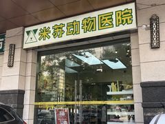 -米苏动物医院·犬猫专科·骨科外科内窥镜