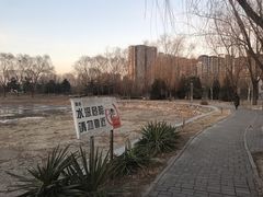 -望湖公园