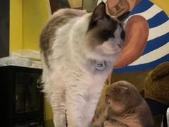 -咖法森林·咖啡  酒吧(天河店)