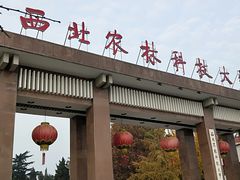 -西北农林科技大学(北校区)