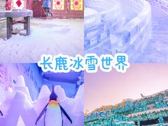 -长鹿旅游休博园