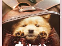 -曹杨影城(曹杨店)