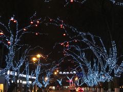 -杭州西湖柳莺里酒店