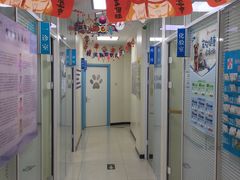 -全心全意连锁动物医院·微创中心·内科急重症·心脏专科(丰管路店)