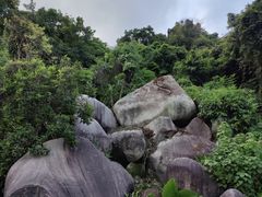 -火炉山森林公园