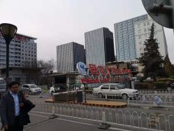 -首都医科大学附属北京儿童医院
