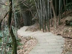 -穹窿山景区