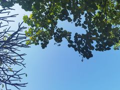 -广东花都湖国家湿地公园