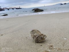 -玫瑰海岸文化旅游度假区