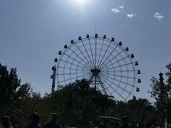 景点-水上乐园·欢乐世界