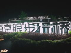 -南京眼步行桥