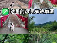 -黄山翡翠谷景区