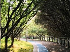 -苏州河梦清园环保主题公园